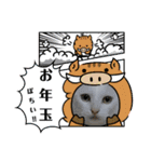 雪慶ニャーズ 正月Ver.（個別スタンプ：9）