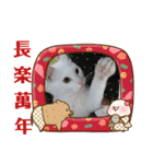 雪慶ニャーズ 正月Ver.（個別スタンプ：14）