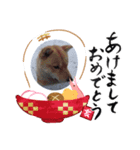 ブーナマの顔②（個別スタンプ：2）