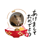 白家の新年（個別スタンプ：5）