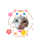 大福大ちゃん（個別スタンプ：4）