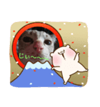 大福大ちゃん（個別スタンプ：6）