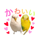 あいとほいっぷ（個別スタンプ：1）