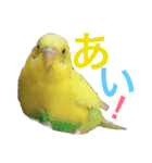 あいとほいっぷ（個別スタンプ：2）