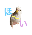 あいとほいっぷ（個別スタンプ：3）