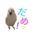 あいとほいっぷ（個別スタンプ：4）