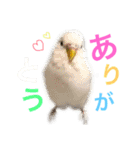 あいとほいっぷ（個別スタンプ：6）