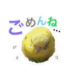 あいとほいっぷ（個別スタンプ：7）