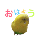 あいとほいっぷ（個別スタンプ：10）