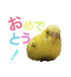 あいとほいっぷ（個別スタンプ：13）