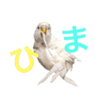 あいとほいっぷ（個別スタンプ：14）