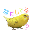 あいとほいっぷ（個別スタンプ：15）