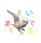 あいとほいっぷ（個別スタンプ：16）