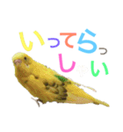 あいとほいっぷ（個別スタンプ：17）