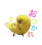 あいとほいっぷ（個別スタンプ：18）