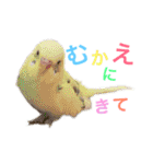 あいとほいっぷ（個別スタンプ：20）
