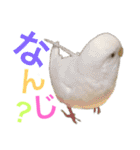 あいとほいっぷ（個別スタンプ：21）