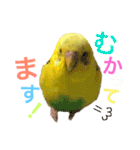 あいとほいっぷ（個別スタンプ：22）