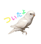 あいとほいっぷ（個別スタンプ：24）