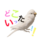 あいとほいっぷ（個別スタンプ：26）