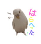 あいとほいっぷ（個別スタンプ：27）