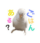 あいとほいっぷ（個別スタンプ：28）