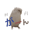 あいとほいっぷ（個別スタンプ：31）