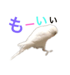 あいとほいっぷ（個別スタンプ：33）