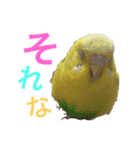 あいとほいっぷ（個別スタンプ：34）