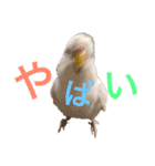 あいとほいっぷ（個別スタンプ：35）