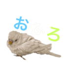 あいとほいっぷ（個別スタンプ：38）