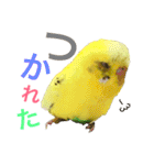 あいとほいっぷ（個別スタンプ：39）