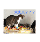 Kサンちの幸せスタンプ（個別スタンプ：17）
