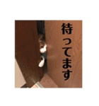 Kサンちの幸せスタンプ（個別スタンプ：18）