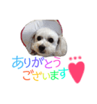 ぷーちゃん＆キキ（個別スタンプ：2）