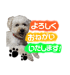 ぷーちゃん＆キキ（個別スタンプ：3）