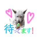 ぷーちゃん＆キキ（個別スタンプ：12）