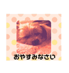 えだまめ日記（個別スタンプ：7）