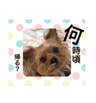 えだまめ日記（個別スタンプ：27）