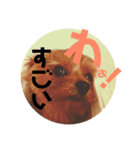 えだまめ日記（個別スタンプ：31）