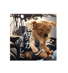 えだまめ日記（個別スタンプ：38）