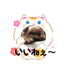えだまめ日記（個別スタンプ：40）