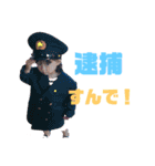 サラルナ  ver.2（個別スタンプ：6）