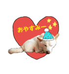 おらふ♡りろ（個別スタンプ：1）