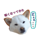 おらふ♡りろ（個別スタンプ：2）