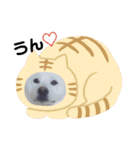 おらふ♡りろ（個別スタンプ：19）