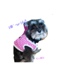 犬(家族)（個別スタンプ：4）