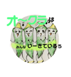 だじゃれ の 八百屋さん 2（個別スタンプ：17）