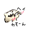 極みの極みの極み（個別スタンプ：18）