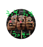 極みの極みの極み（個別スタンプ：22）